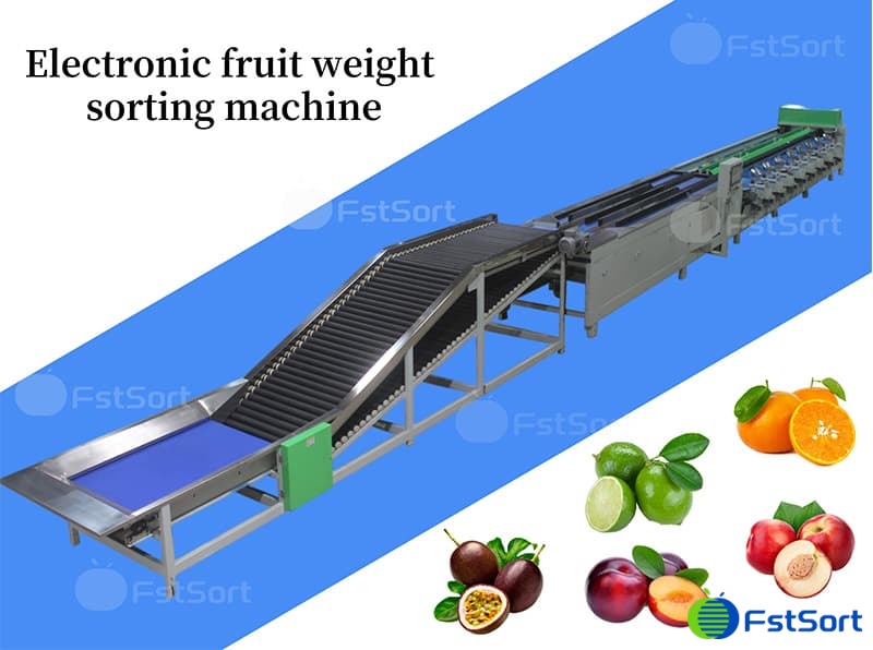 images/1673338441253fstsort passion fruit sorting grading line.jpg